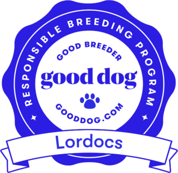 Lordocs Good Dog Badge 2019