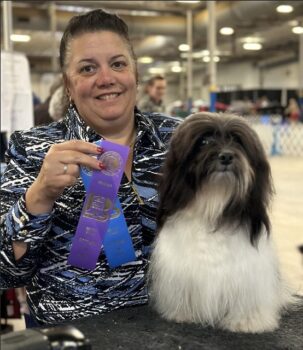 Available Havanese puppies FL